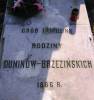 Grave of Dunin - Brzeziski family